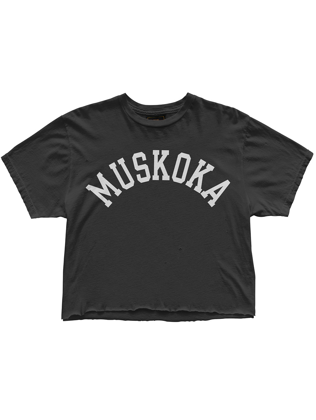 Muskoka Arch Boyfriend Crop T-Shirt - Vintage Black